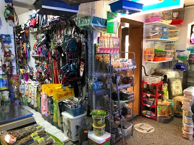 Sklep Zoologiczny „EGZOTARIUM” Zielona Góra ( obok kina Nysa )